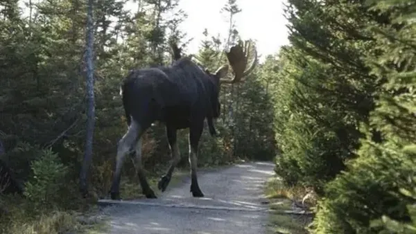 Bukan Editan! Objek Mencengangkan di Foto Ini Beneran Eksis