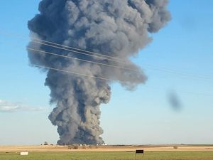 Kasihan, 18 Ribu Ternak Mati Akibat Ledakan Dahsyat di AS Kasihan, 18 Ribu Ternak Mati Akibat Ledakan Dahsyat di AS