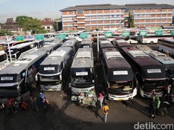 Berapa Gaji Sopir Bus AKAP dan Pariwisata? Segini Kisarannya