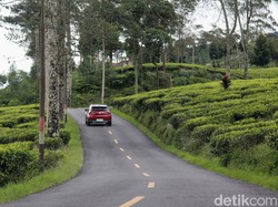 Mobil Lebih Kuat Lewat Tanjakan Jika Berjalan Mundur, Mitos atau Fakta?