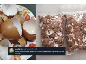 Viral Cuitan Cangkang Telur Bisa Dijual Mahal, Ternyata Tipuan Belaka Viral Cuitan Cangkang Telur Bisa Dijual Mahal, Ternyata Tipuan Belaka