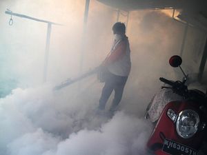 2 Anak di Klaten Meninggal Kena Demam Berdarah