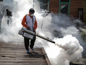 Kasus Demam Berdarah di Regional Asia