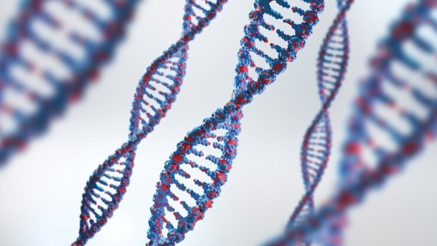 Hal-hal yang sebenarnya ditemukan oleh perempuan