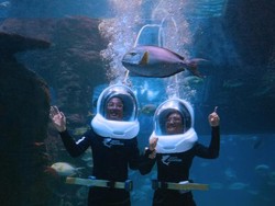 10 Spot Wisata Edukasi di Jakarta, Biar Nggak di Rumah Melulu