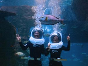 Sambut Liburan Sekolah, Jakarta Aquarium Hadirkan Pantai dan Game Baru Sambut Liburan Sekolah, Jakarta Aquarium Hadirkan Pantai dan Game Baru