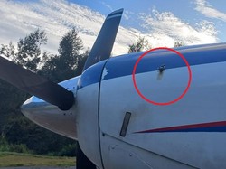 Terkuak Motif KKB Lewis Kogoya Tembak Pesawat Kargo di Beoga gegara Dendam