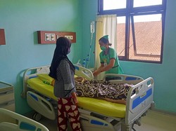 Pasien DBD yang Meninggal di Karangasem Sudah Kritis Saat Tiba di RS