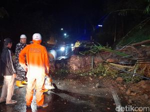 Pohon Tumbang Halangi Setengah Badan Jalan Bandung-Sumedang