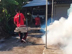 2 Remaja Meninggal karena DBD, Dinkes Akui Fogging Tak Efektif