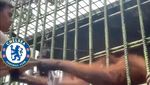 Meme: Chelsea Lagi dan Lagi Keok dari Lawan
