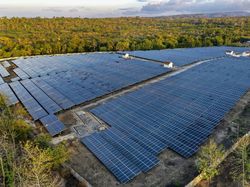 RI Tak Bisa Jadi Negara Maju Tanpa Transisi Energi