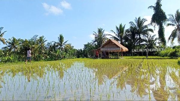 Potret Sudut Bali yang Menenangkan