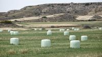 Bola-bola Jerami di Cyprus Ditutup Plastik saat Cuaca Ekstrem