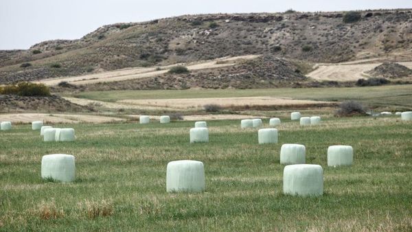 Bola-bola Jerami di Cyprus Ditutup Plastik saat Cuaca Ekstrem