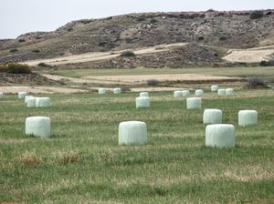 Bola-bola Jerami di Cyprus Ditutup Plastik saat Cuaca Ekstrem