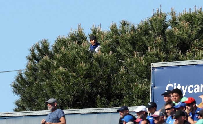 Soccer Football - LaLiga - Getafe v FC Barcelona - Coliseum Alfonso Perez, Getafe, Spain - April 16, 2023
General view as a fan is seen watching the match from a tree REUTERS/Isabel Infantes