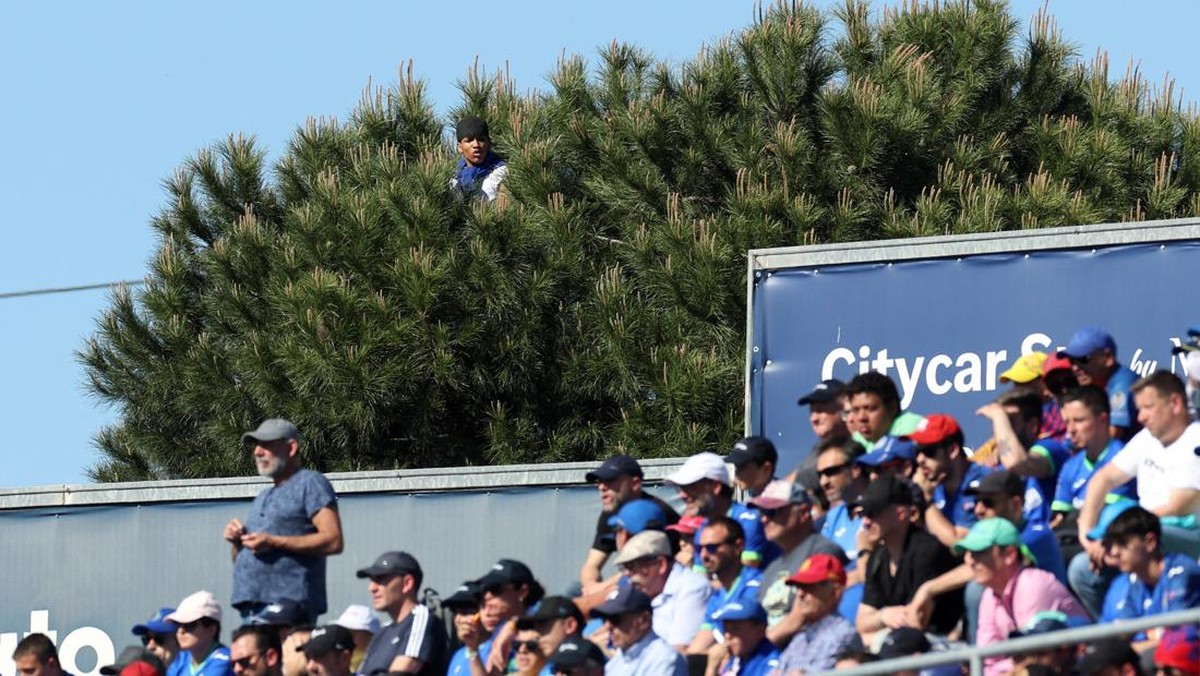 Penampakan salah satu fans yang menonton laga Getafe vs Barcelona dari atas pohon. Foto: REUTERS/ISABEL INFANTES
