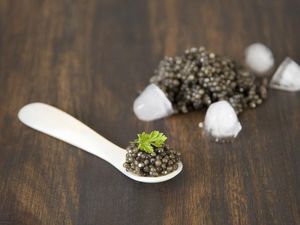 Istimewa Banget! 5 Caviar Termahal di Dunia yang Harganya Capai Rp 1 M Istimewa Banget! 5 Caviar Termahal di Dunia yang Harganya Capai Rp 1 M