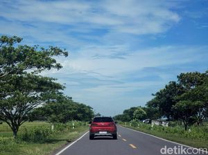 Kisah Miris Jalan Daendels: Upah Dikorupsi Bupati, Khusus untuk Bangsawan Kisah Miris Jalan Daendels: Upah Dikorupsi Bupati, Khusus untuk Bangsawan
