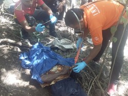 Pamit ke Kebun, Kakek di Sikka Ditemukan Tewas