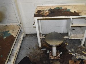 Napi Dimakan Hidup-hidup oleh Serangga-Kutu Kasur di Penjara AS