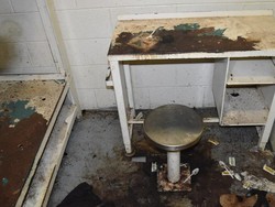 Napi Dimakan Hidup-hidup oleh Serangga-Kutu Kasur di Penjara AS