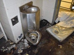 Fakta-Fakta Kutu Busuk, Bikin Napi di AS Tewas Dimakan Hidup-hidup