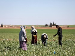 Sejarah dan Tema Hari Perempuan Pedesaan Internasional 2023