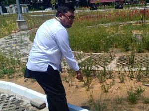 Disidak DPRD, Proyek RTH Rp 35 Miliar di Jambi Tak Sesuai Harapan