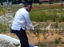 Disidak DPRD, Proyek RTH Rp 35 Miliar di Jambi Tak Sesuai Harapan