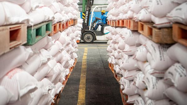 Wamen BUMN Cek Ketersediaan Pupuk Bersubsidi