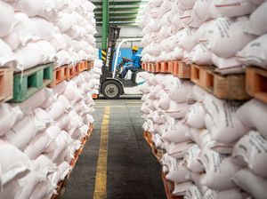 Ini Kriteria dan Mekanisme Penerima Pupuk Bersubsidi Ini Kriteria dan Mekanisme Penerima Pupuk Bersubsidi