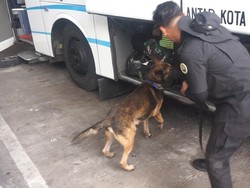 Anjing Pelacak BNN Cek Barang Bawaan Pemudik di Terminal Mengwi