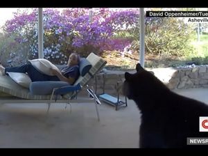 Ketawa Ngakak! Sedang Bersantai, eh Dicilukba Beruang dan Sama-sama Kaget