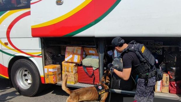 BNN RI membawa 2 ekor anjing pelacak ke Terminal Kampung Rambutan untuk mencegah pengiriman narkoba saat arus mudik Lebaran 1444 Hijriah. (ANTARA/Syaiful Hakim)