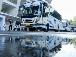 Cerita Guru di Kalimantan Ikut Mudik Gratis BUMN Demi Bertemu Keluarga