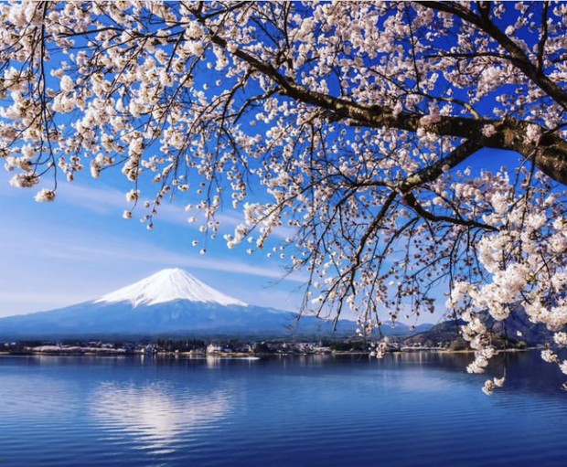 Foto: instagram.com/ fujikawaguchikotourism Lake Kawaguchiko/