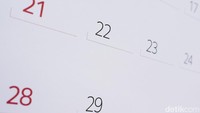 29 November 2025 Memperingati Hari Apa Saja? Simak Daftarnya!