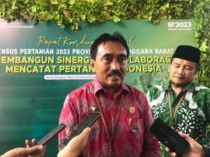 Inflasi NTB Diprediksi Naik Karena Tiket Mudik Selangit