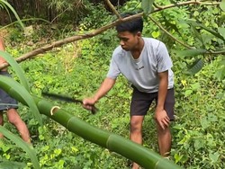 Aksi Marlon Schwarzenegger Blusukan ke Hutan Cari Bahan Gym Sederhana