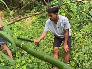 Aksi Marlon Schwarzenegger Blusukan ke Hutan Cari Bahan Gym Sederhana Aksi Marlon Schwarzenegger Blusukan ke Hutan Cari Bahan Gym Sederhana