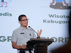 Cerita Sandi Uno Sempat Gagal Terbang dan Tunggu 1 Jam, Ini Penjelasan Citilink