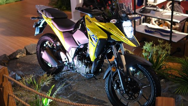 Suzuki V-Storm 250 SX.