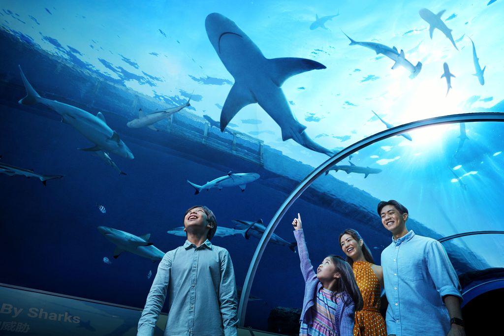 5 Rekomendasi Libur Lebaran Seru untuk Keluarga di Resorts World Sentosa, Singapura