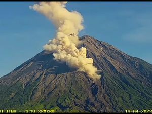 Gunung Semeru Kembali Muntahkan Guguran Lava Pijar Sejauh 2 Km