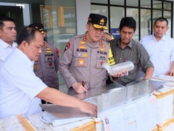 Polda Riau Gagalkan Penyelundupan Benih Lobster Rp 61,2 M ke Vietnam