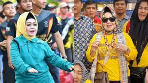 10 Potret Hedon-Nyentrik Reihana yang 14 Tahun Jabat Jadi Kadinkes Lampung