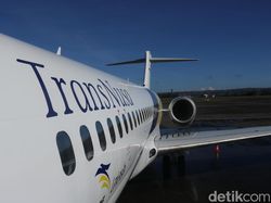 Buruan Sikat! Maskapai Ini Lagi Buka Lowongan Digital Marketing