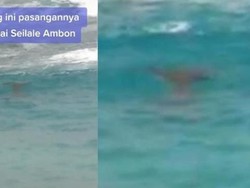Viral, Penampakan Putri Duyung di Pantai Ambon